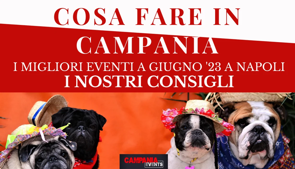 Migliori eventi gratuiti a Napoli a giugno 2023 Svg%3E